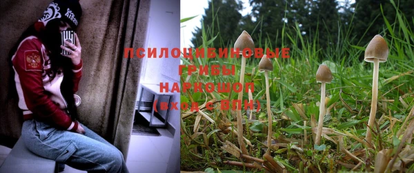кокс Пестово
