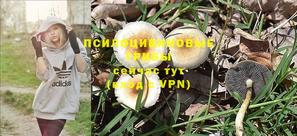 кокс Переславль-Залесский