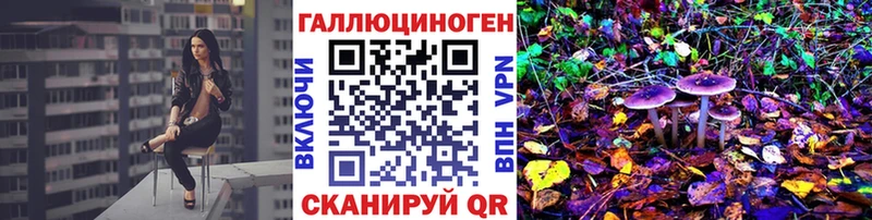 Купить  Заринск  Псилоцибиновые грибы GOLDEN TEACHER 
